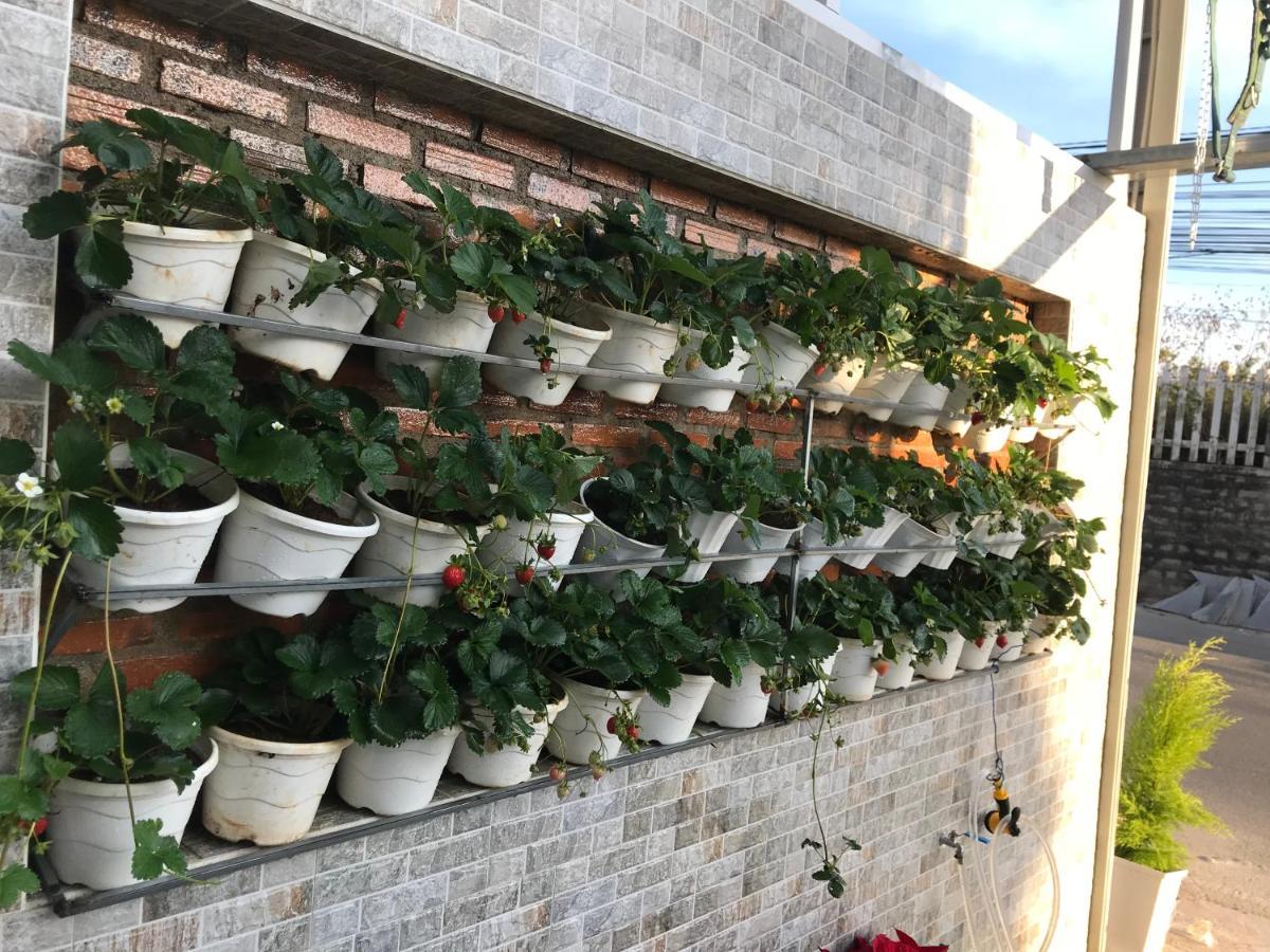 Greenview Dalat المظهر الخارجي الصورة